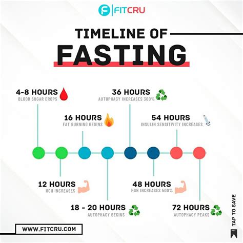 intermittent fasting timeline benefits